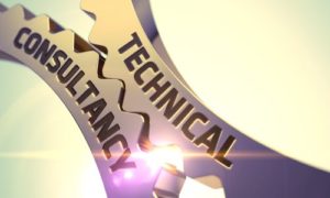 Technical Consulting & Expert Support